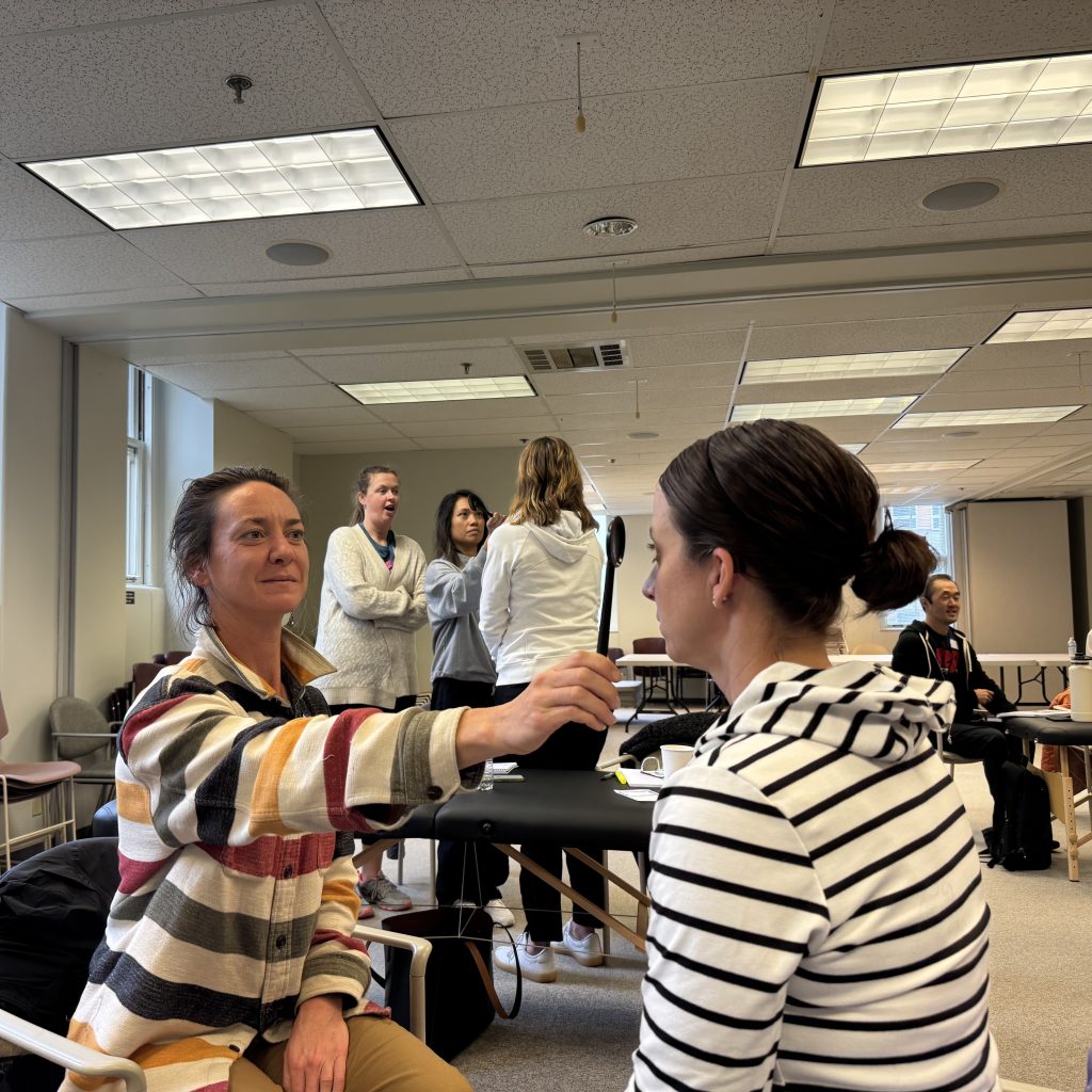 therapists practicing in balance CEU course