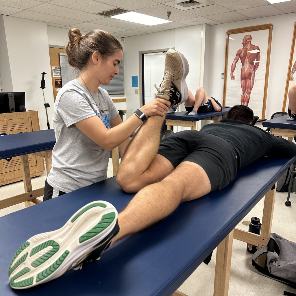 Myofascial Release Functional Integration Course